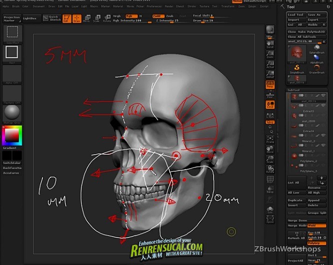 《ZBrush人物脸部造型雕刻艺术高级教程》ZBrushWorkshops Anatomy of the Face for Artists