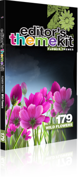 《DJ主题包装视频素材系列之唯美野生花卉》Digital Juice Editor’s Themekit 179 Wild Flowers
