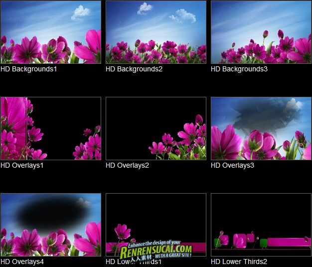 《DJ主题包装视频素材系列之唯美野生花卉》Digital Juice Editor’s Themekit 179 Wild Flowers