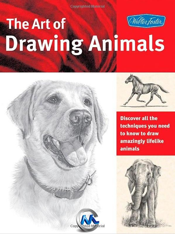 The Art of Drawing Animals Discover all the techniques you need to know to draw .jpg