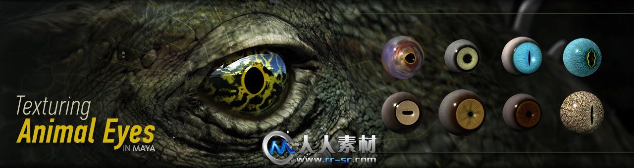 Digital-Tutors Texturing Animal Eyes in Maya.jpg