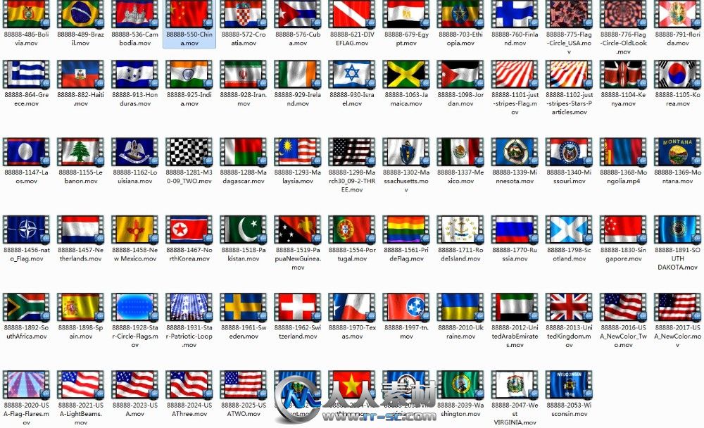 Footage World Flags 20131.jpg