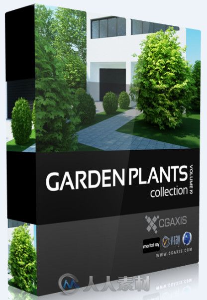 花园植物3D模型合辑 CGAxis Models Volume 19 Garden Plants