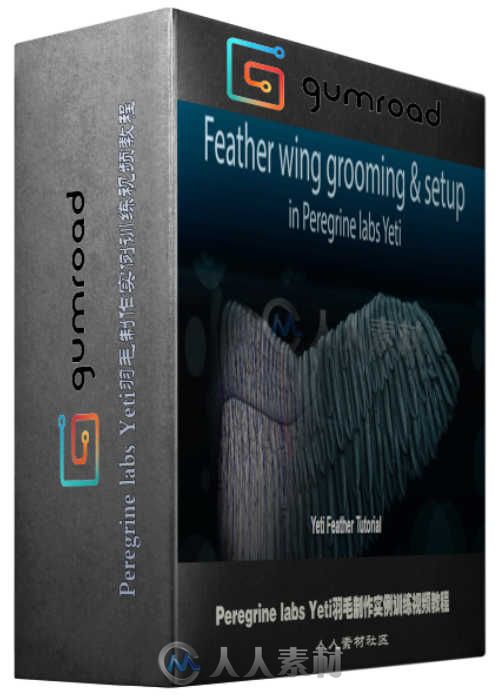 Peregrine labs Yeti羽毛制作实例训练视频教程 Gumroad Feather wing grooming and setup in Peregrine labs Yeti
