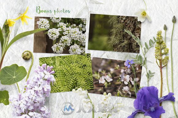 春季花和道具场景展示PSD模板Spring Flower Props &amp;Mockups
