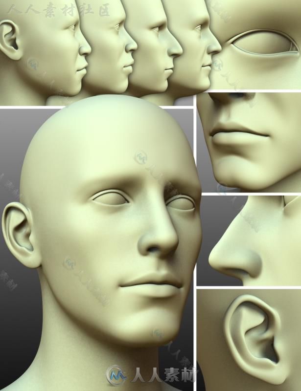 超精細的男性的頭部和面部3D模型合輯