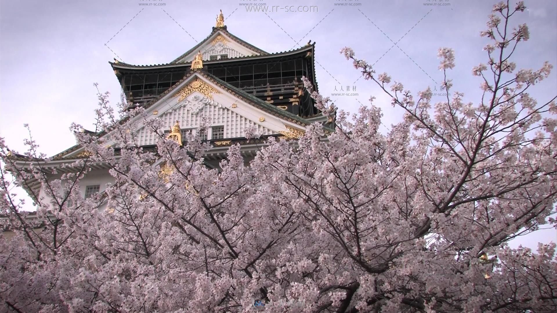 日本大阪城建筑樱花旅游景点实拍视频素材