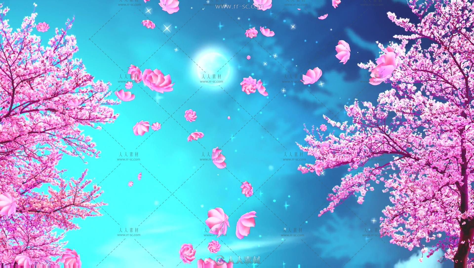 浪漫櫻花花瓣飄落唯美背景視頻素材