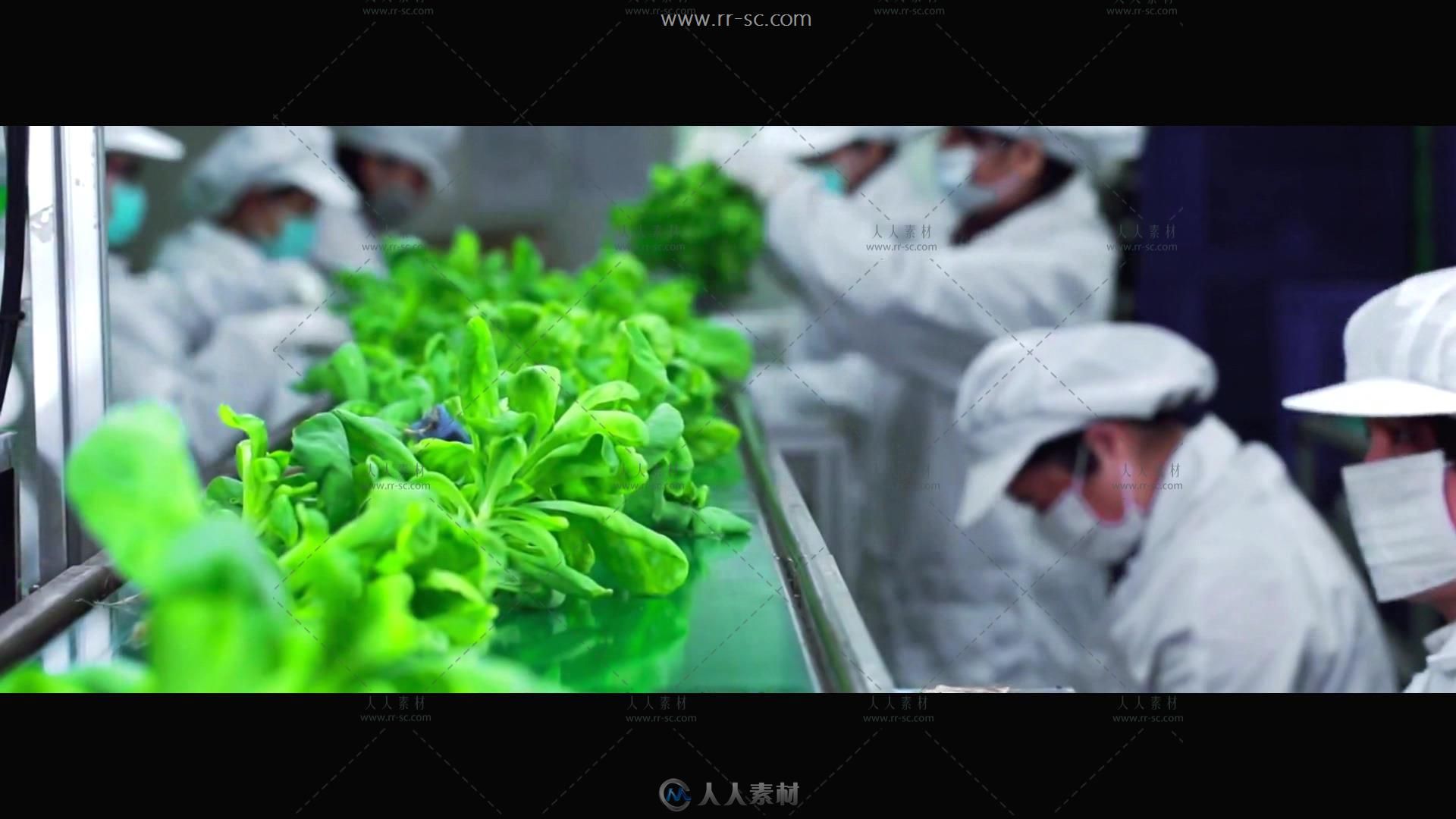农业技术室内种植科技产品宣传片高清实拍视频