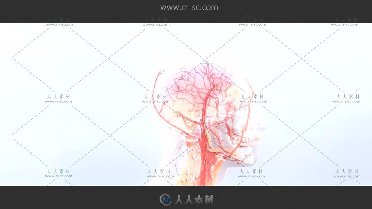 人体3D血管器官模型解剖动态视频素材