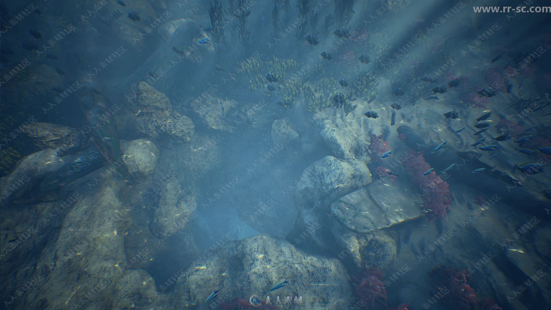 海底岩石植物动物环境渲染UE4游戏素材资源