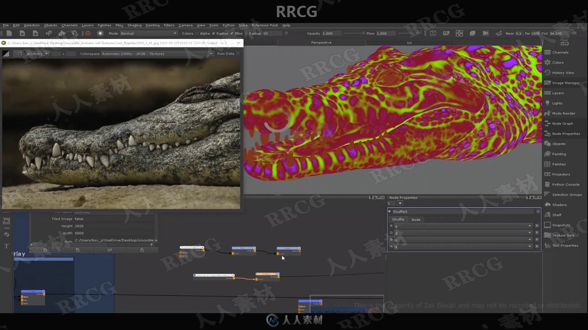 Mari逼真鳄鱼纹理实例制作工作流程视频教程