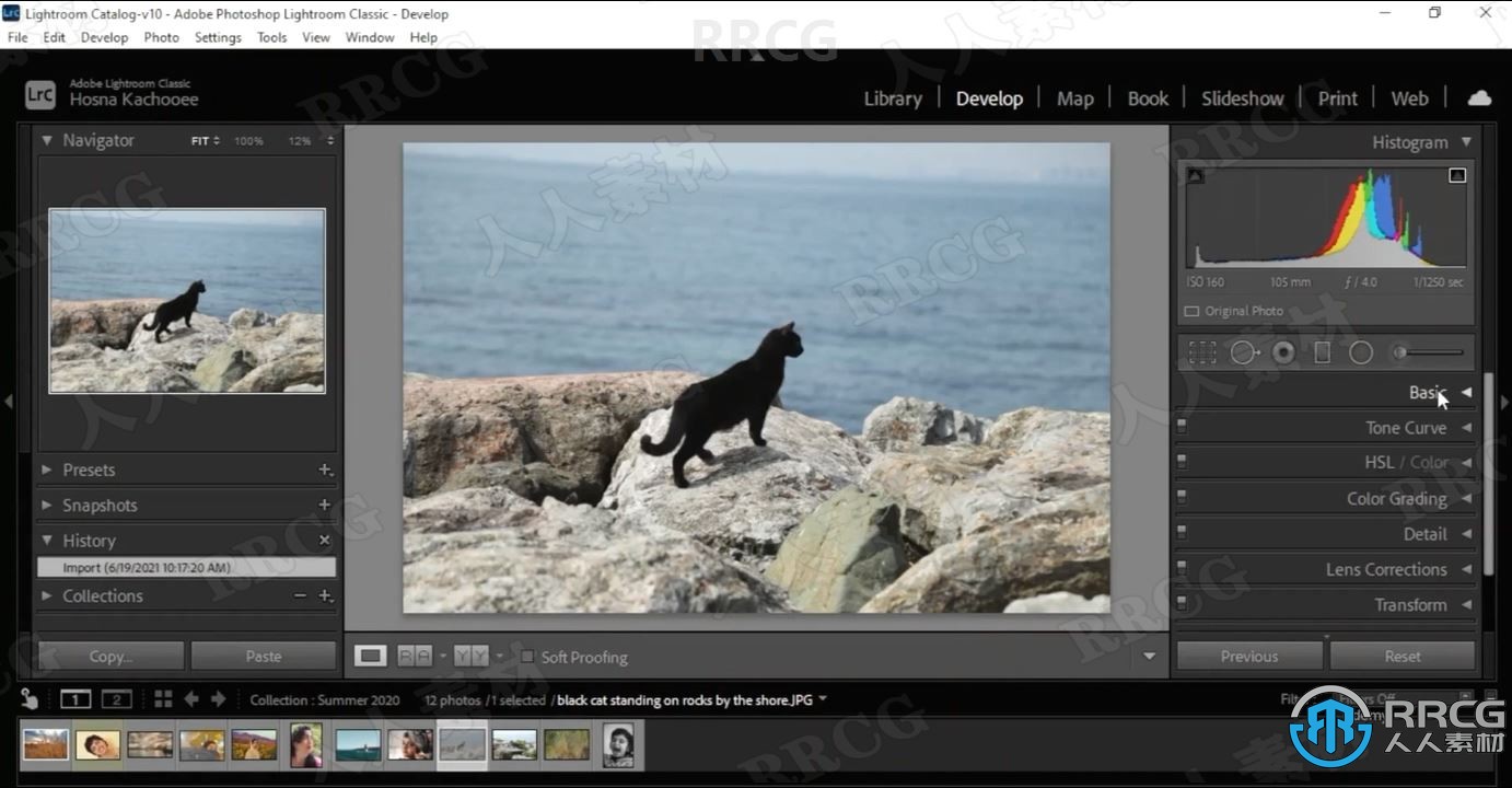 LR初学者图像编辑预设调色后期处理视频教程