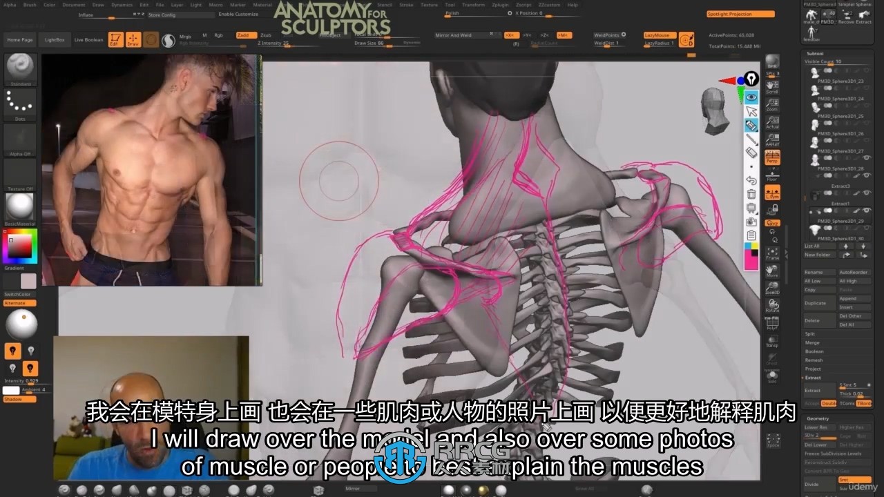【中英双语】Zbrush超人人体解剖学完整制作流程视频教程