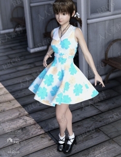 女性蓬松连衣裙鞋袜夏季套装3D模型合集