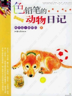 彩色铅笔可爱动物手绘书籍杂志
