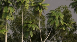 17组高品质树木植物3D模型合集