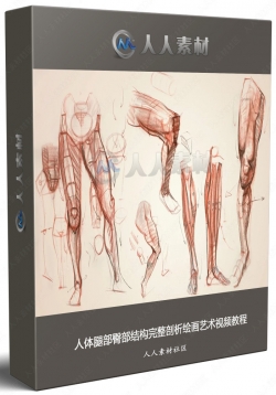 人体腿部臀部结构完整剖析绘画艺术视频教程