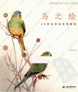 38种鸟彩色铅笔图绘书籍杂志