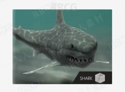 凶恶霸气大白鲨鱼类3D角色Unity游戏素材资源