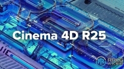 Cinema 4D三维设计软件R25.015版