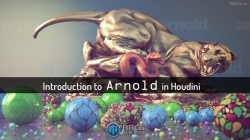 Arnold阿诺德渲染器Houdini插件V6.3.1.1版
