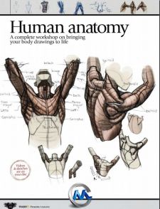 《生物解剖绘画书籍教程》ImagineFX Presents Anatomy 2010