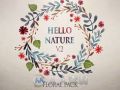 唯美彩色水墨植物生长动画水墨色彩AE模板Hello Nature — Floral Pack v2