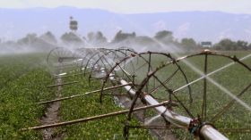 现代化农业灌溉视频素材