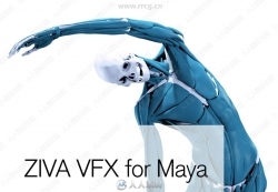 Ziva Dynamics Ziva VFX骨骼肌肉运动模拟Maya插件V1.9版