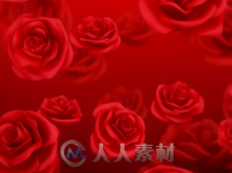 浪漫红玫瑰红色喜庆背景唯美婚礼婚庆led背景视频素材