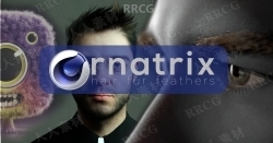 Ephere Ornatrix头发毛发C4D插件V2.0.10.2620版