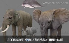 《ZOO动物园》全套共70个动物3D模型带贴图