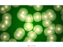 Janssen制药公司宣传片医疗实验研究细胞显微镜容器高清实拍