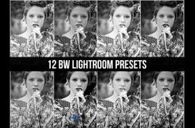 12款黑白人物照片调色Lightroom预设12 BW Lightroom Presets 328827