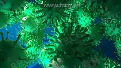 色彩丰富新型冠状病毒消散过程LOGO动画演绎AE模板