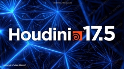 SideFX Houdini FX影视特效制作软件V17.5.258版