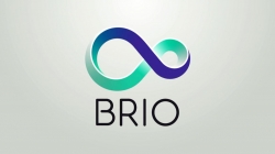 BrioVR为我们提供了在网页中创建VR和AR场景的平台