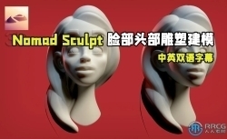 【中文字幕】Nomad Sculpt游牧民族人物脸部头部雕塑建模视频教程