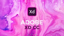 Adobe XD CC交互设计软件V23.1.32版