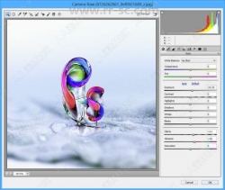 Adobe Camera Raw图像格式调整PS插件V11.2.1版
