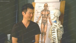 好莱坞艺术大师手绘细致人体比例结构视频教程第一季