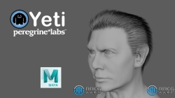 Peregrine Labs Yeti皮毛羽毛Maya插件V5.0.4版