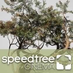 SpeedTree Modeler Cinema Edition树木植物实时建模软件V9.0.0版