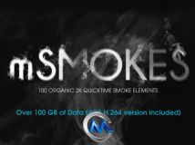 2K高清烟雾元素视频素材合辑 motionVFX mSmokes 100 Organic 2K Quicktime Smoke E...