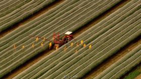 航拍农田工人洒农药作业视频素材