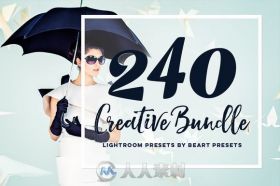 240款创意lightroom预设表现合辑240 Creative Bundle for Lightroom