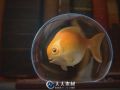 《Blender金鱼渲染视频教程》CG Cookie Rendering a Golfish in a bubble with cycles