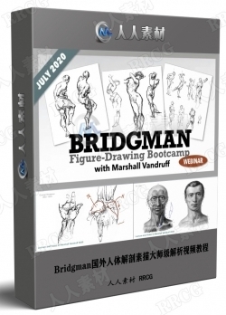 Bridgman国外人体解剖素描大师级解析视频教程