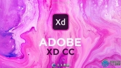 Adobe XD CC交互设计软件V56.1.12版